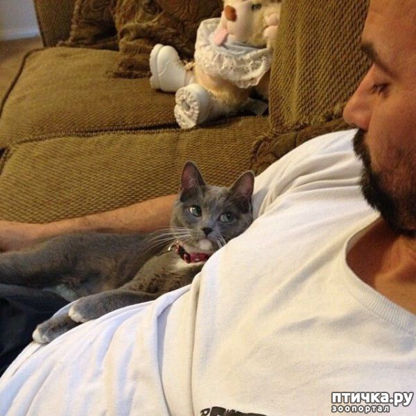 ���� 1: ����������� �� �������������. ����� � �������