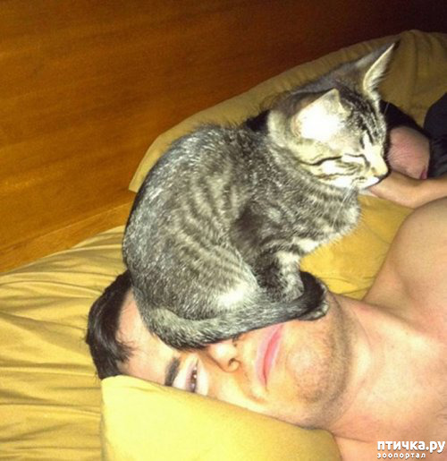 ���� 4: ����������� �� �������������. ����� � �������