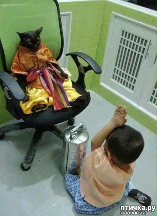 ���� 5: ����������� �� �������������. ����� � �������