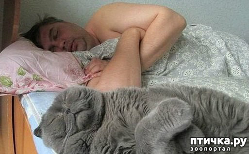 ���� 7: ����������� �� �������������. ����� � �������