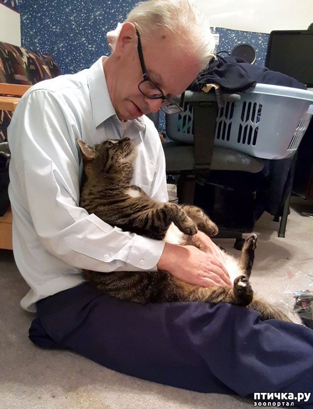 ���� 9: ����������� �� �������������. ����� � �������