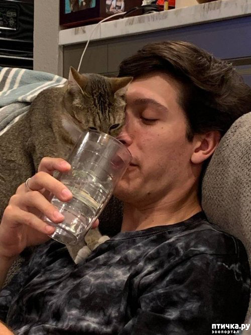 ���� 10: ����������� �� �������������. ����� � �������