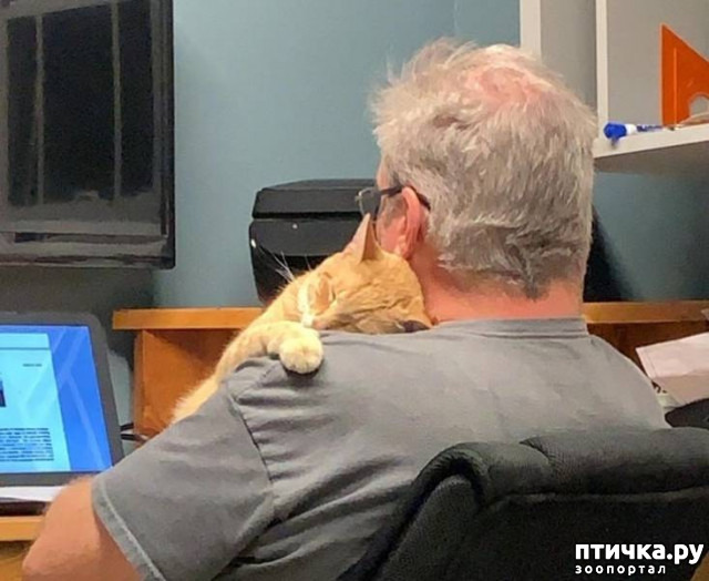 ���� 12: ����������� �� �������������. ����� � �������