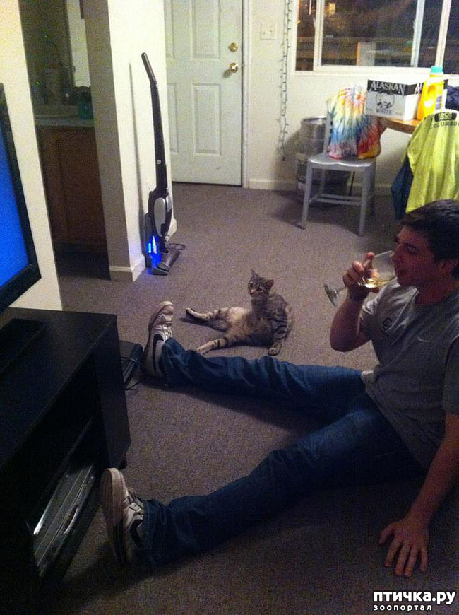 ���� 13: ����������� �� �������������. ����� � �������