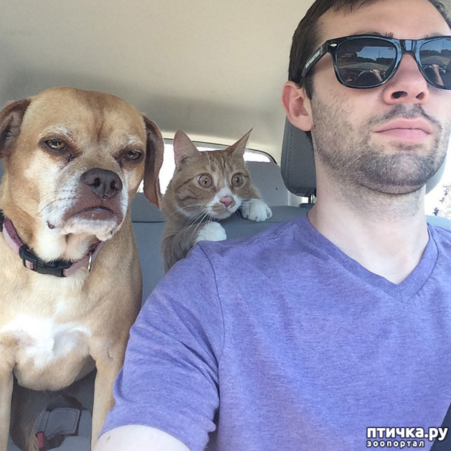 ���� 14: ����������� �� �������������. ����� � �������