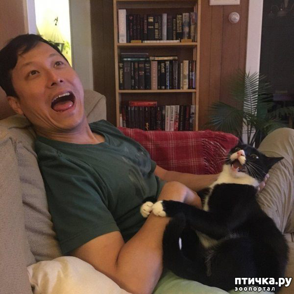 ���� 15: ����������� �� �������������. ����� � �������