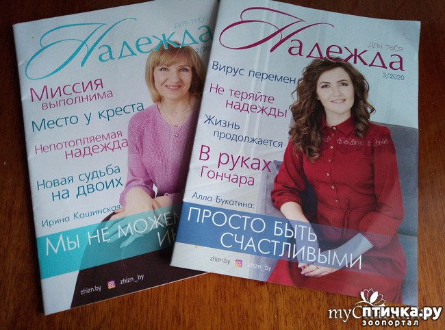 ���� 1: ��� ����������