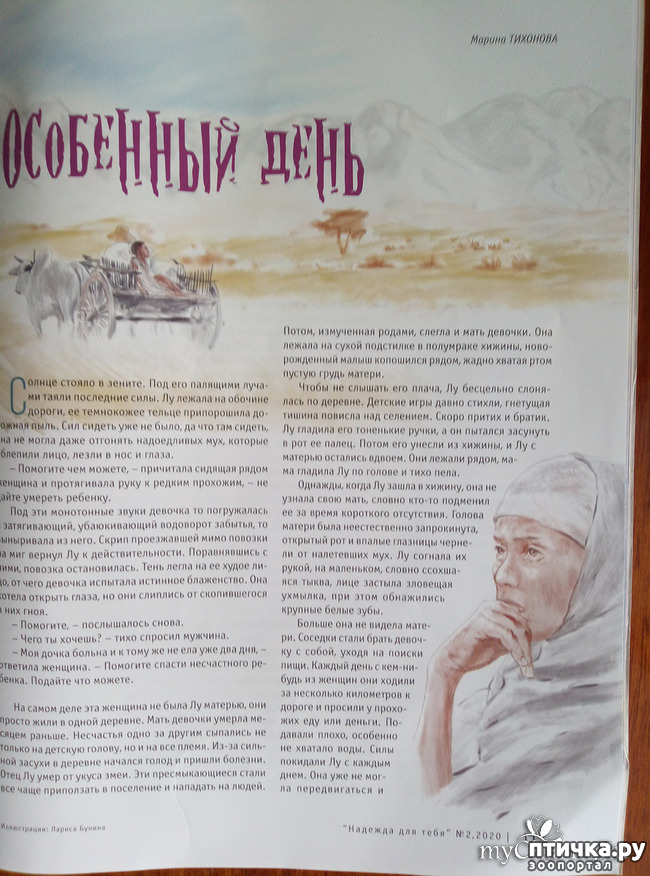 ���� 2: ��� ����������