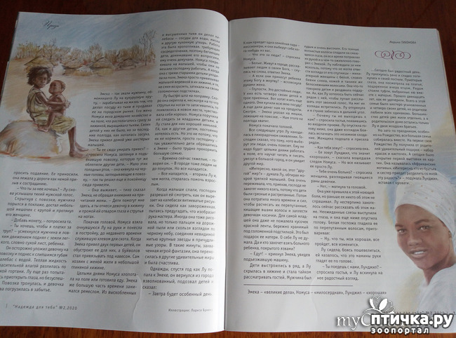 ���� 3: ��� ����������