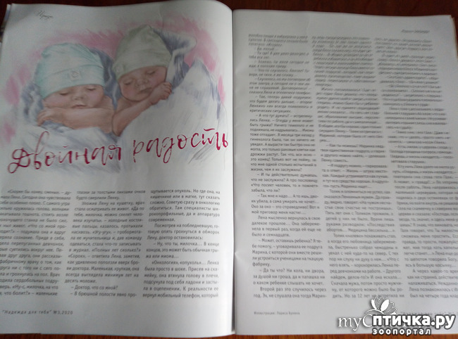 ���� 4: ��� ����������