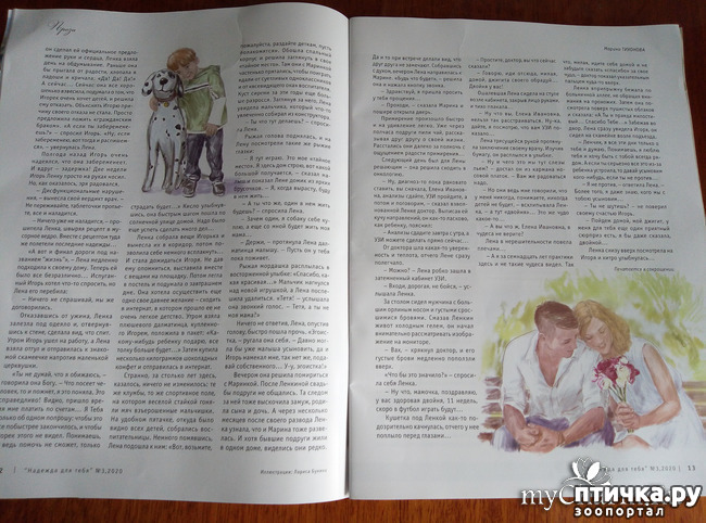 ���� 5: ��� ����������