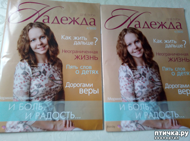 ���� 6: ��� ����������