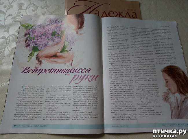 ���� 7: ��� ����������