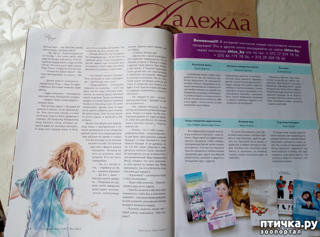 ���� 8: ��� ����������