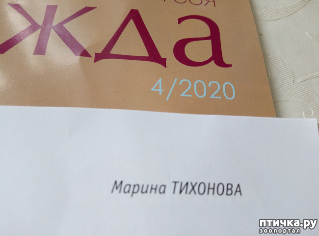 ���� 9: ��� ����������