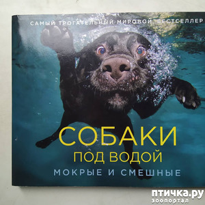 фотография: Книга (альбом) - антистресс. Собаки под водой. фото: Книга (альбом) - антистресс. Собаки под водой.