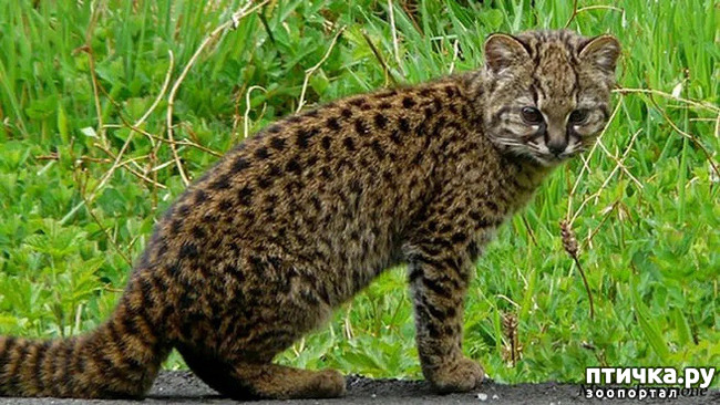 ���� 2: ������