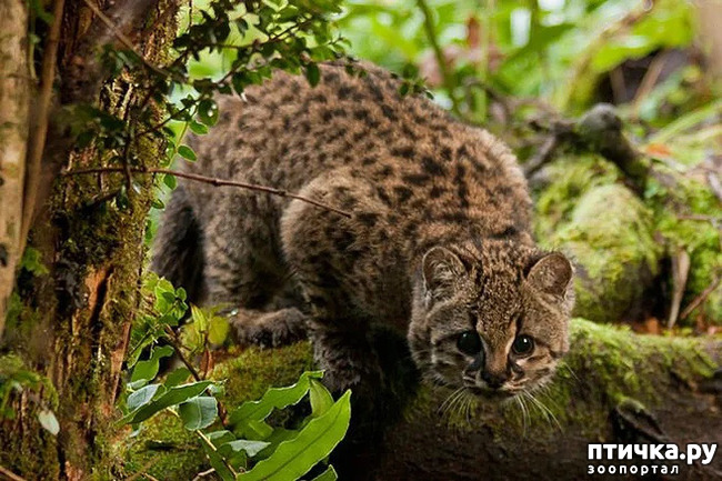 ���� 3: ������