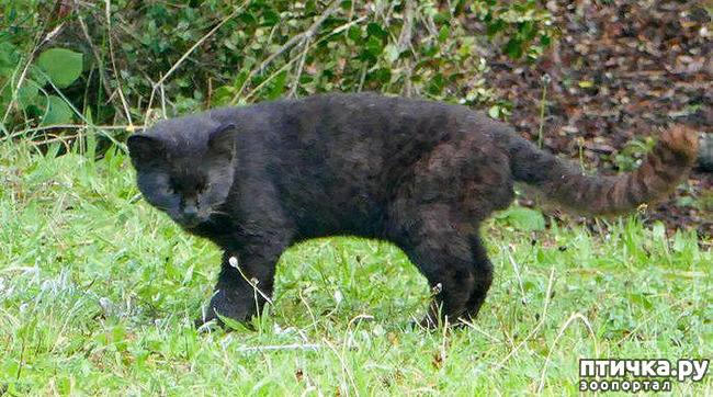 ���� 6: ������