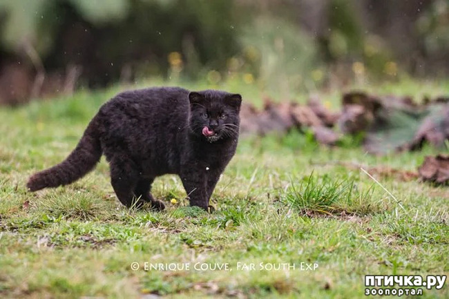 ���� 7: ������