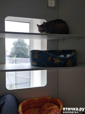 ����: ������. ��������.