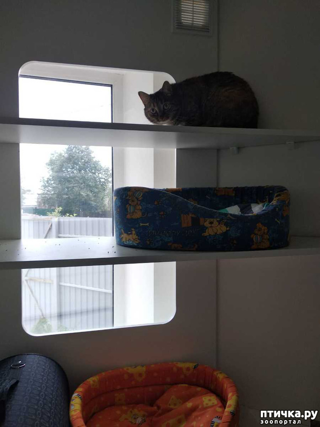 ���� 1: ������. ��������.