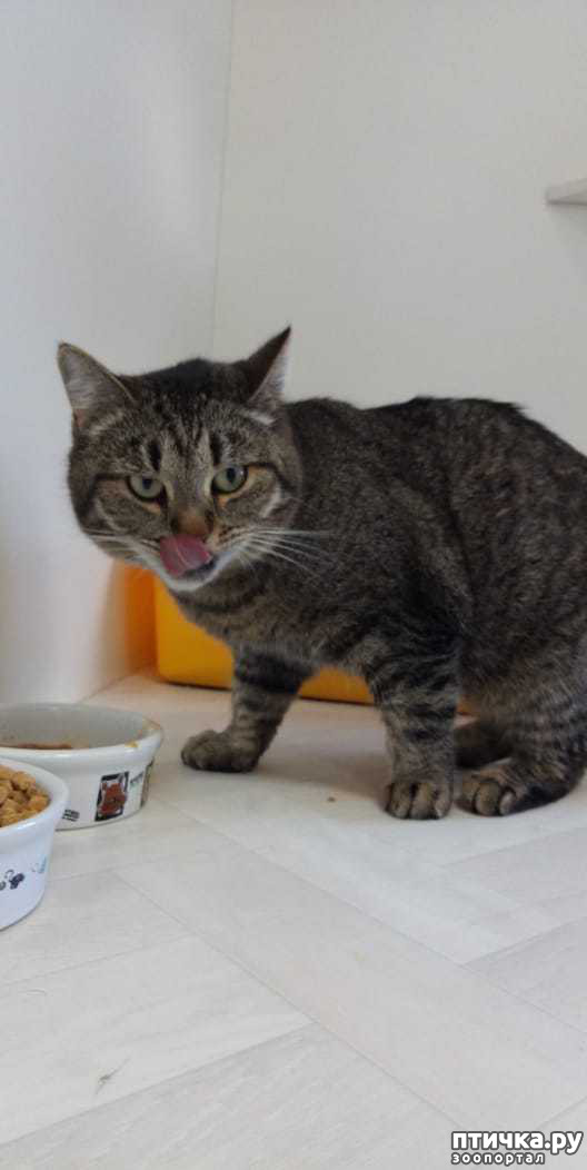 ���� 2: ������. ��������.