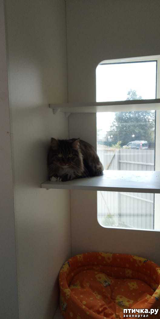 ���� 3: ������. ��������.