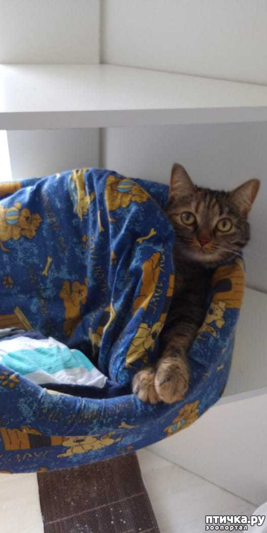 ���� 4: ������. ��������.