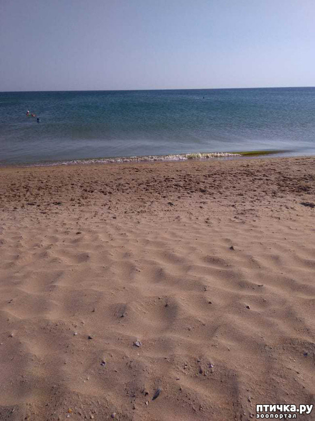 ���� 6: ������. ��������.