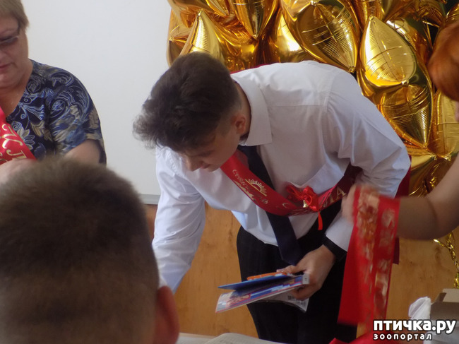 ���� 2: �������� ��������