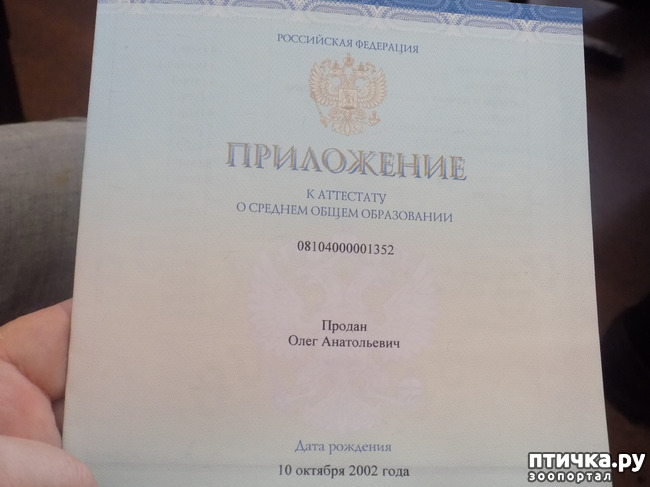 ���� 3: �������� ��������