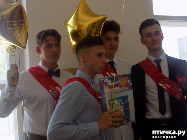 ���� 4: �������� ��������