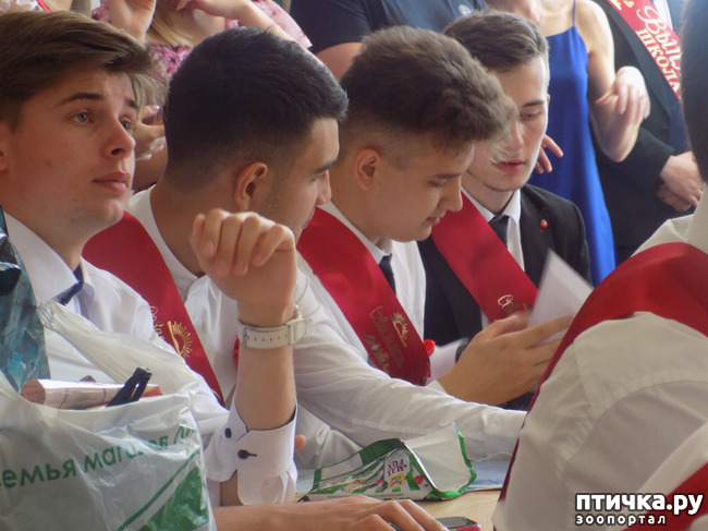 ���� 5: �������� ��������