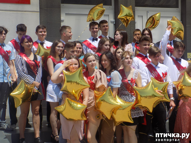 ���� 6: �������� ��������