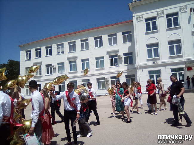 ���� 7: �������� ��������