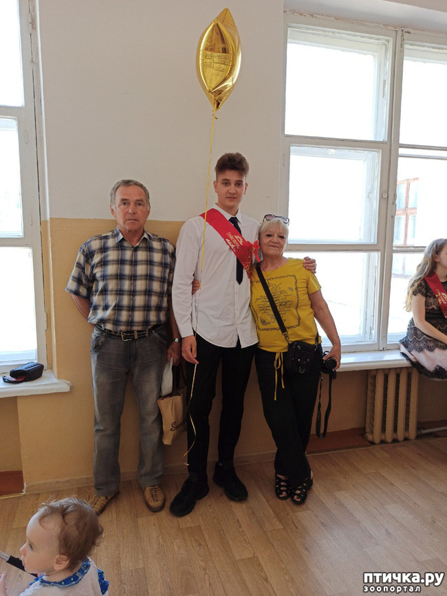 ���� 8: �������� ��������