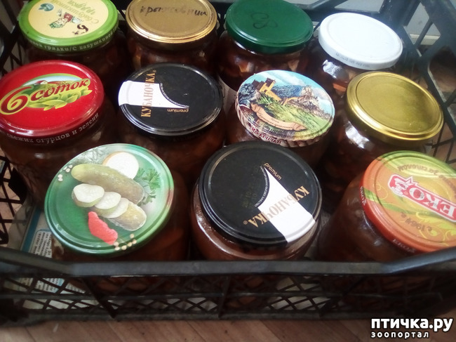 ���� 9: �������� ��������