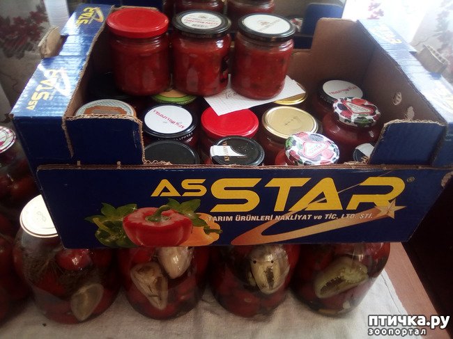 ���� 10: �������� ��������