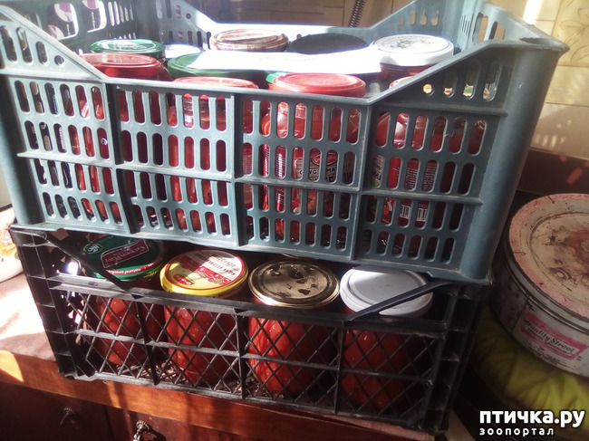 ���� 11: �������� ��������