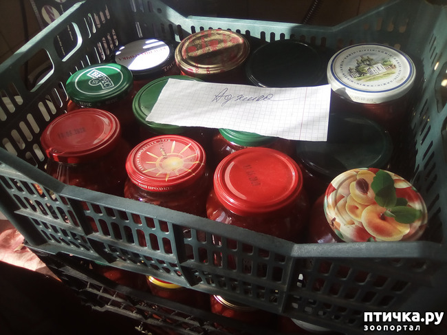 ���� 12: �������� ��������