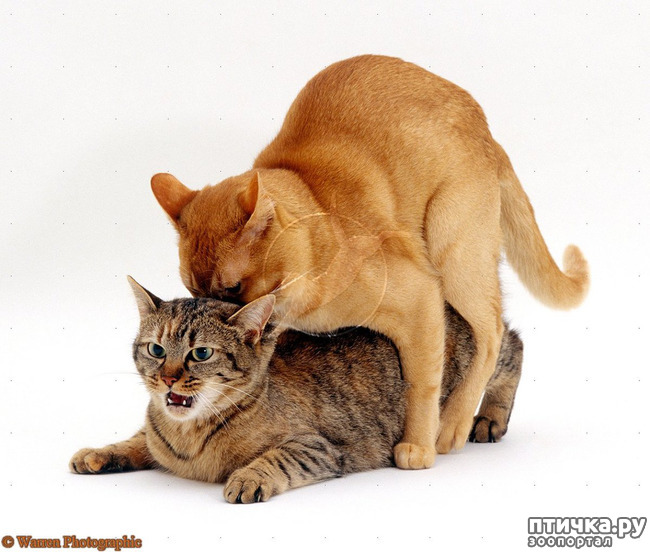 ���� 2: ������ �������������� ��� �������� ������ ����� �� ����� ��� ��������?