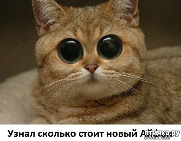 ���� 3: �����������!