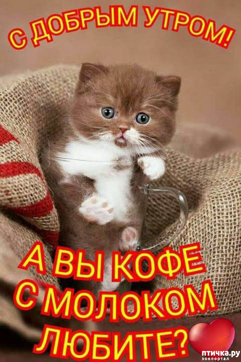 ���� 4: �����������!