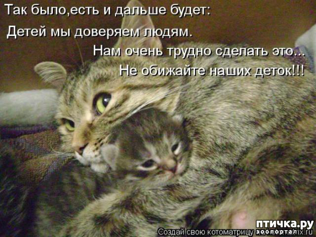 ���� 8: �����������!