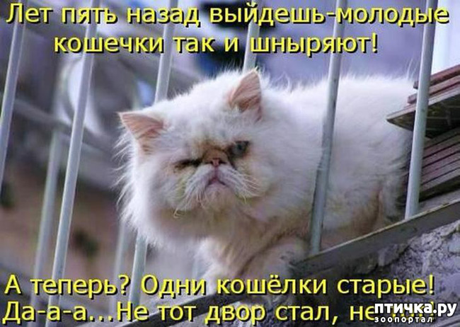 ���� 6: �����������!