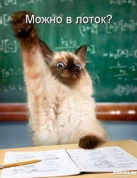 ���� 1: ������� �����