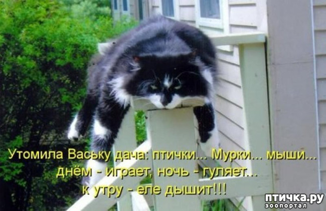 ���� 9: �����������!