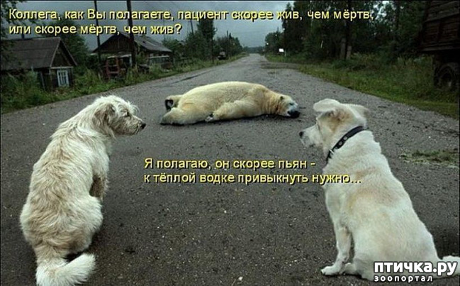 ���� 10: �����������!