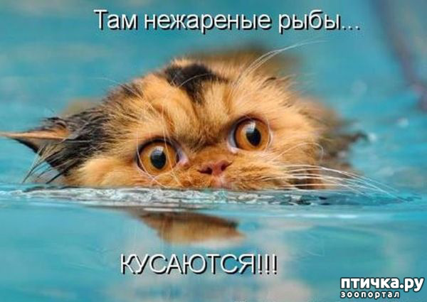 ���� 7: �����������!